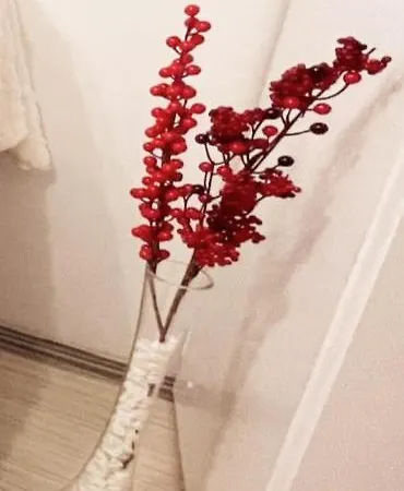 קלוז'-נאפוקה Buzz Apartment מראה חיצוני תמונה