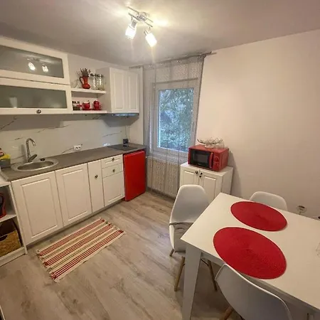 קלוז'-נאפוקה Buzz Apartment מראה חיצוני תמונה